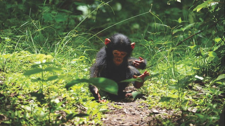 кадр из фильма Fools' Paradise (lost?)