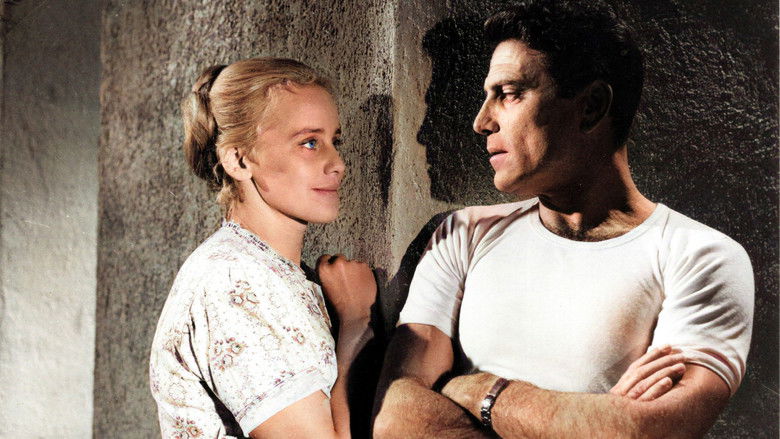 кадр из фильма Роза Бернд