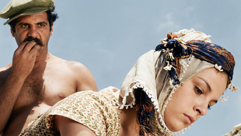 кадр из фильма Засушливое лето