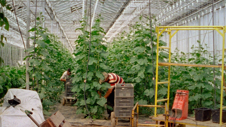 кадр из фильма Les Habitants