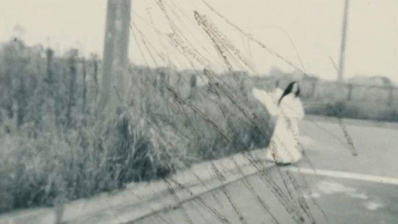 кадр из фильма 片足の神様