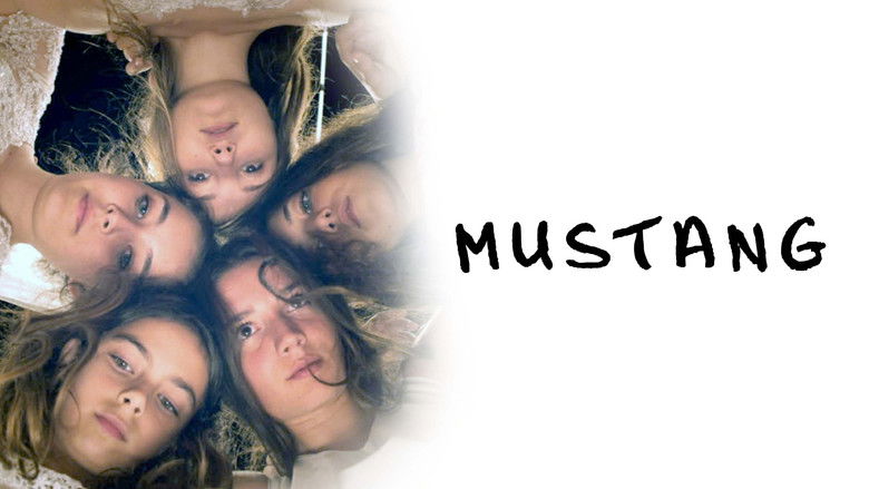 кадр из фильма Мустанг