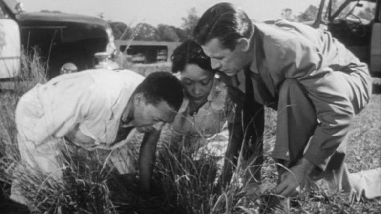 кадр из фильма The Well