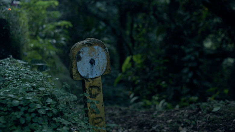 кадр из фильма Silêncio das Asas