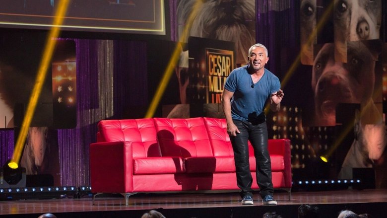 кадр из фильма Cesar Millan: Viva Las Vegas!
