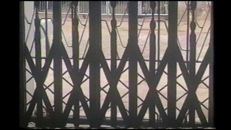 кадр из фильма နှင်းစက်