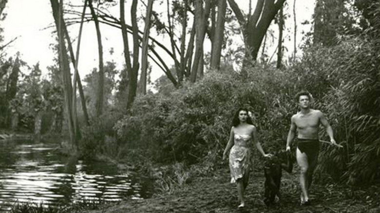 кадр из фильма Bomba and the Hidden City