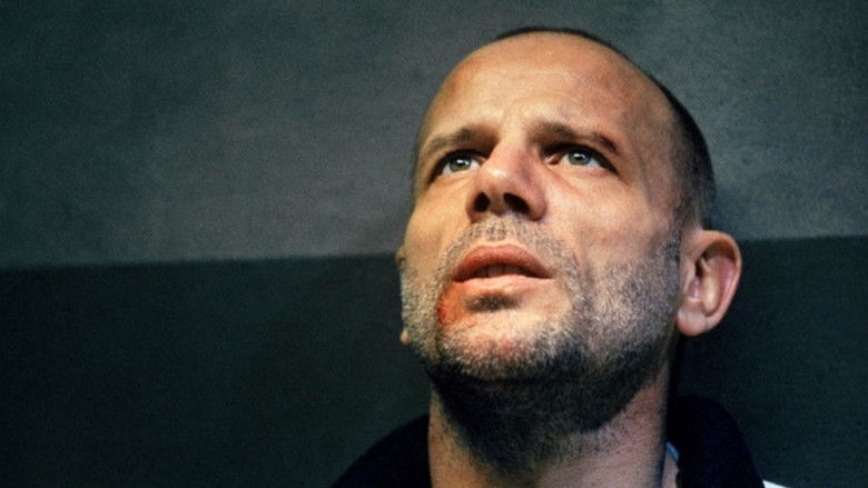 кадр из фильма Zonzon