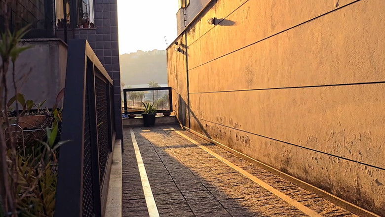 кадр из фильма Eu observo com meus olhos...