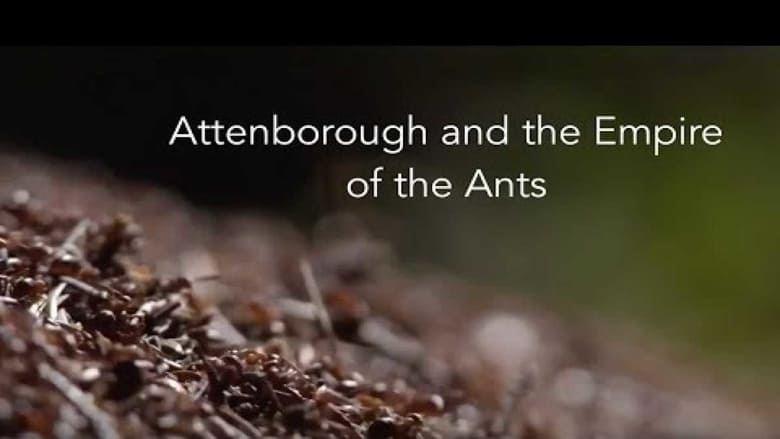 кадр из фильма Attenborough and the Empire of the Ants