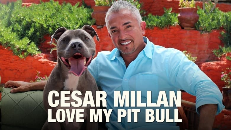 кадр из фильма Cesar Millan: Love My Pit Bull