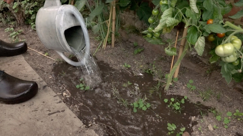 кадр из фильма Cyriel