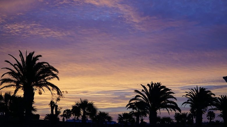 кадр из фильма One Glorious Sunset