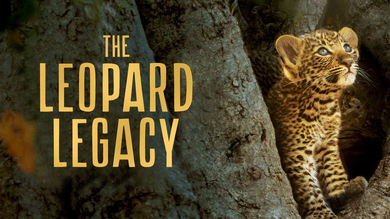 кадр из фильма Olimba, Königin der Leoparden