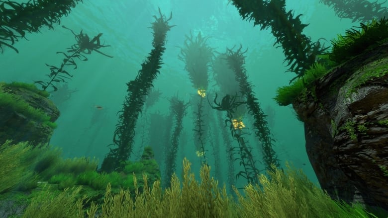 кадр из фильма Kelp, une forêt sous la mer