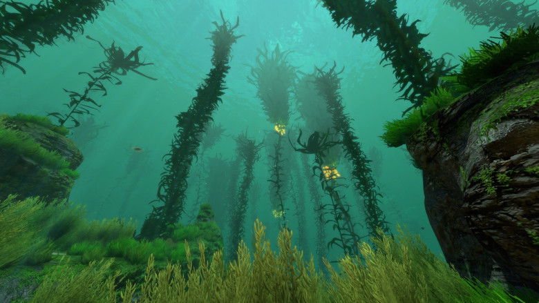 кадр из фильма Kelp, une forêt sous la mer