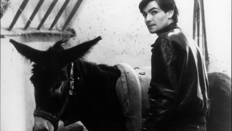 кадр из фильма Наудачу, Бальтазар