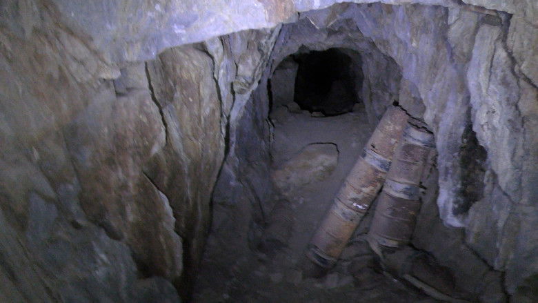 кадр из фильма The Wilderness Tapes: Volume One