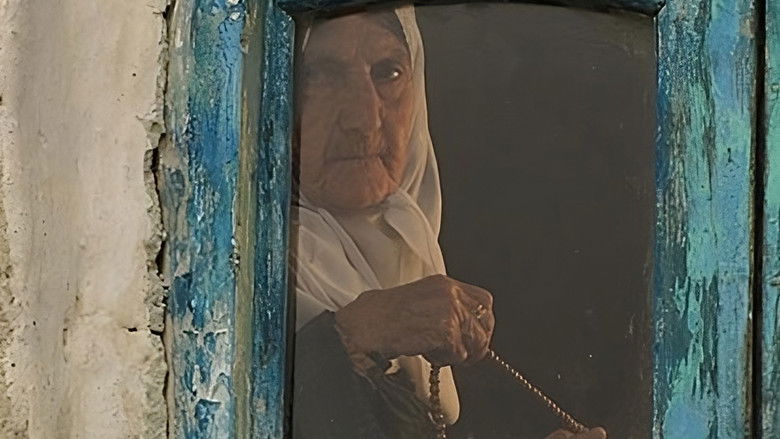 кадр из фильма چیدن سپیده دم