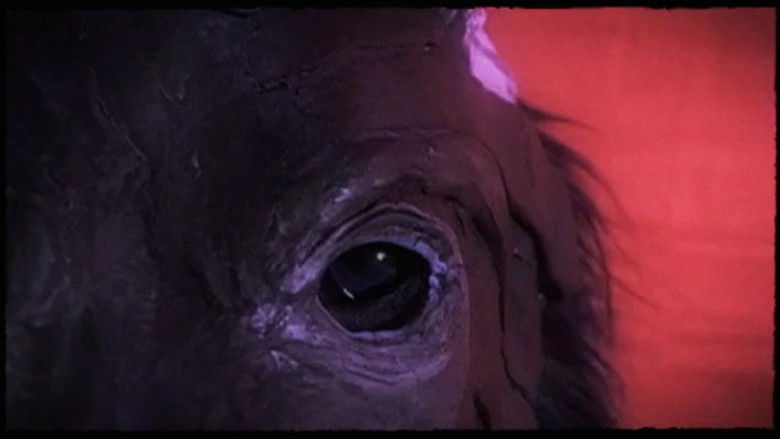 кадр из фильма Dog Day - Rome