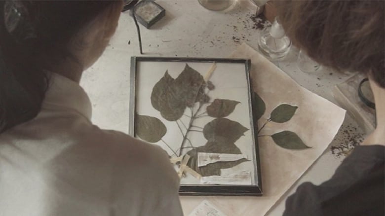 кадр из фильма 大村植物標本
