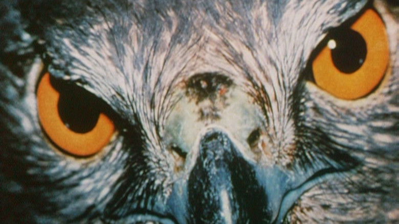 кадр из фильма Australian Bush