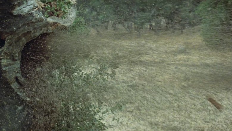 кадр из фильма Рой