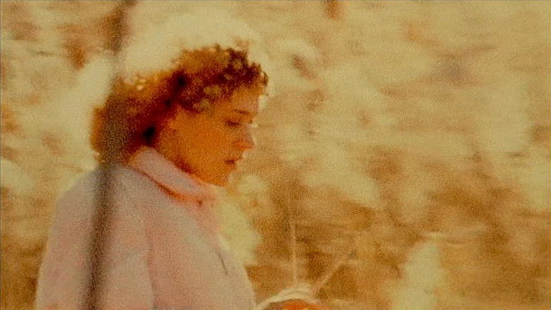 кадр из фильма Осленок Джулиэн