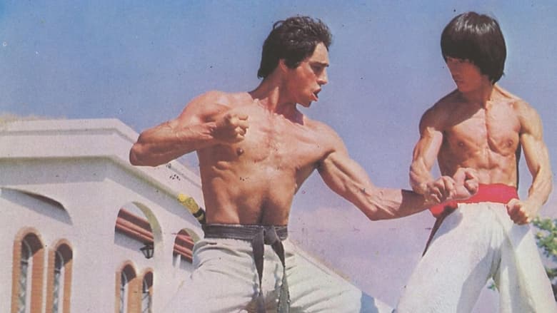 кадр из фильма Bruce's Fists Of Vengeance