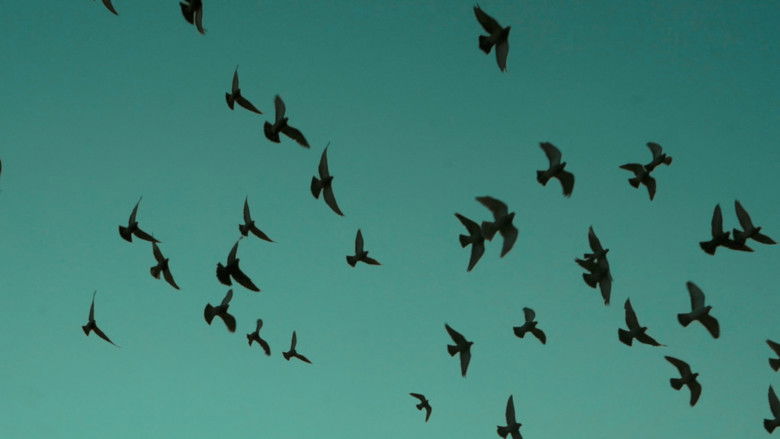 кадр из фильма Pathless