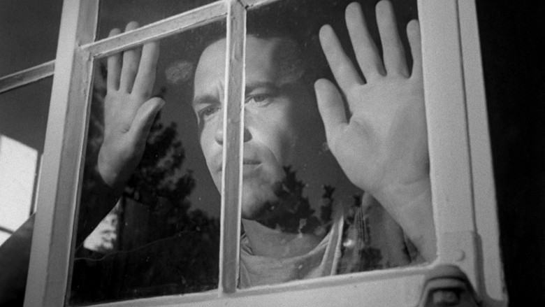 кадр из фильма Частная собственность