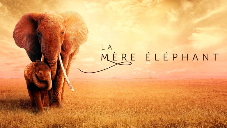 кадр из фильма Королева слонов