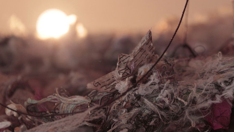 кадр из фильма Navegar