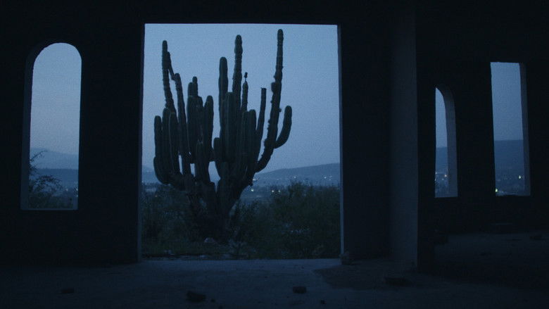 кадр из фильма Nacht der Kojoten