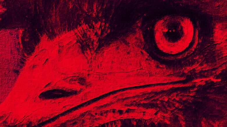 кадр из фильма The Dark Emu Story