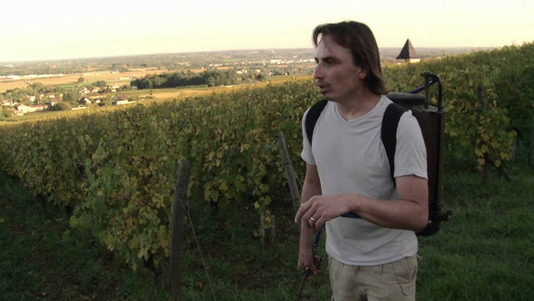 кадр из фильма La Clef des Terroirs