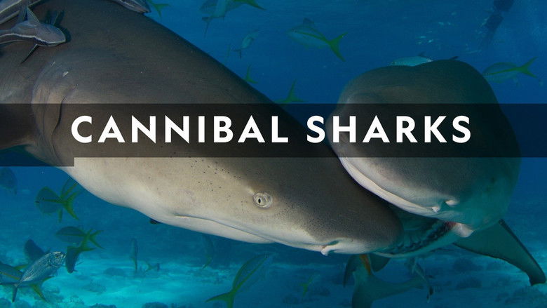 кадр из фильма Cannibal Sharks