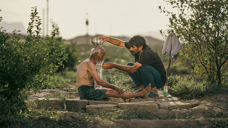 кадр из фильма Derno