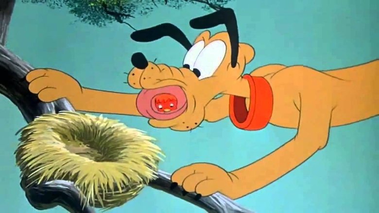 кадр из фильма Pluto's Fledgling