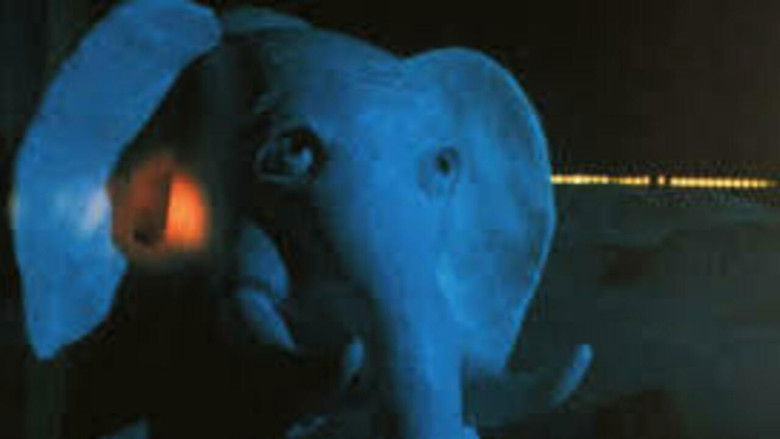 кадр из фильма L'éléphant et la baleine