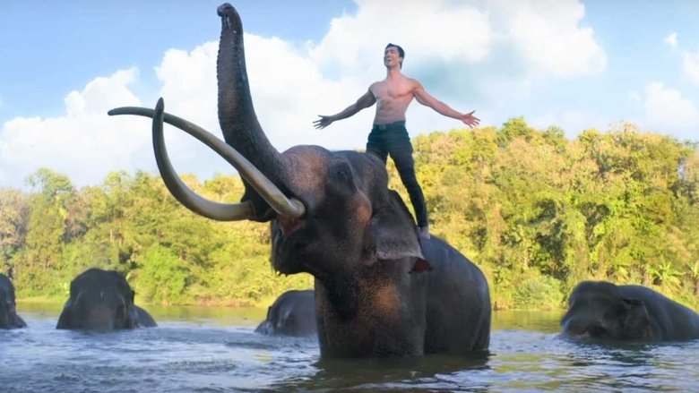 кадр из фильма Джунгли: Альма Сальвахе