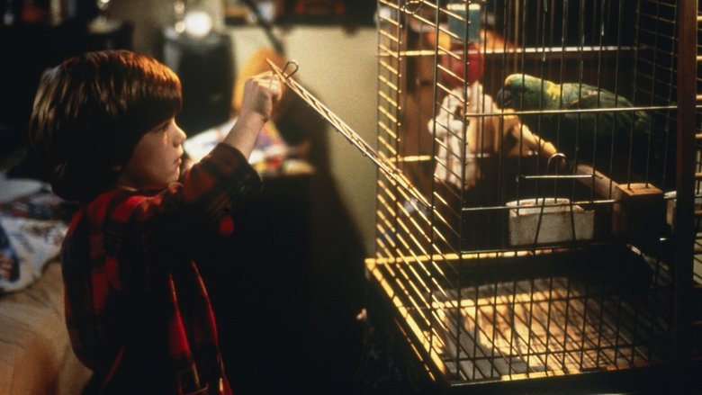 кадр из фильма Один дома 3