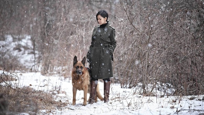 кадр из фильма 모피를 입은 비너스