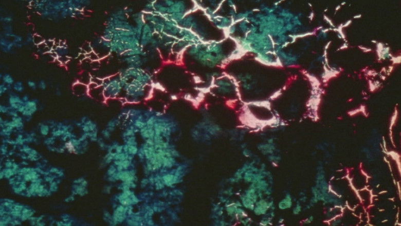 кадр из фильма 23rd Psalm Branch