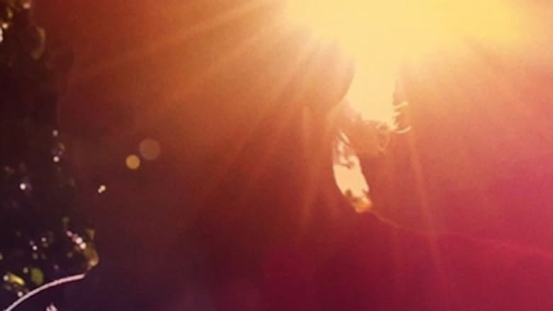 кадр из фильма Ram Dass, Going Home