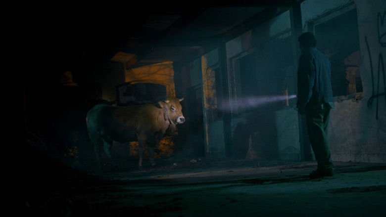 кадр из фильма IUS del tiempo