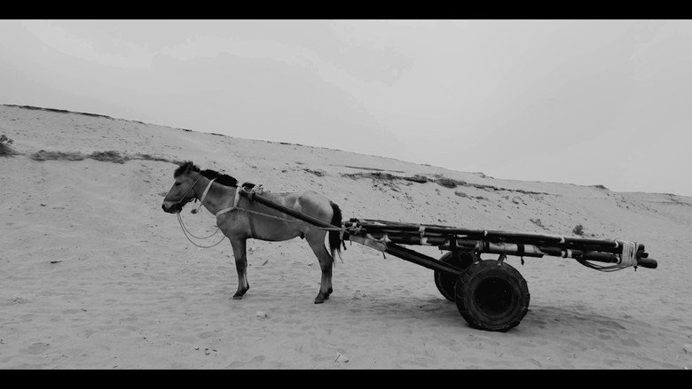кадр из фильма The Nomad's Redemption