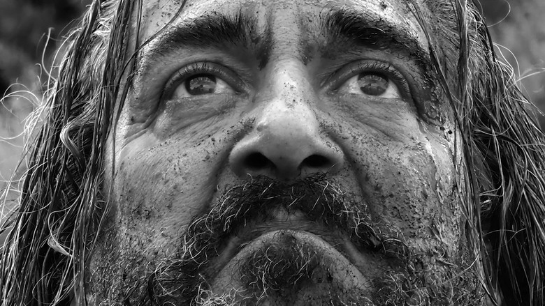 кадр из фильма Dio non ti odia