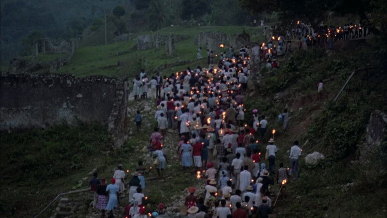 кадр из фильма Змей и радуга