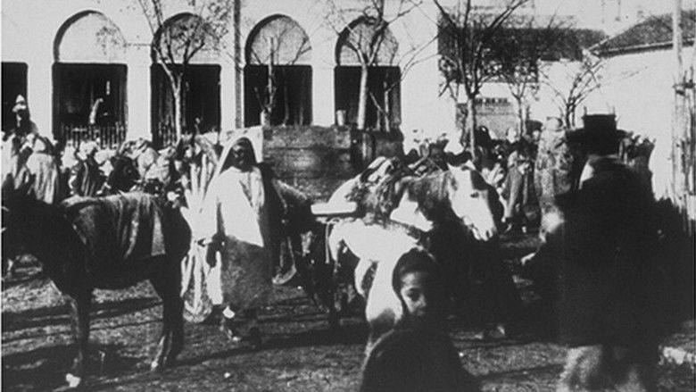 кадр из фильма Marché aux légumes